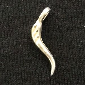 .925 Sterling Silver solid Pendant/Charm Size 7/8”